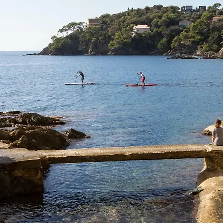 Gasthof Le Cube Design A Avec Piscine Et Cuisine Hyères